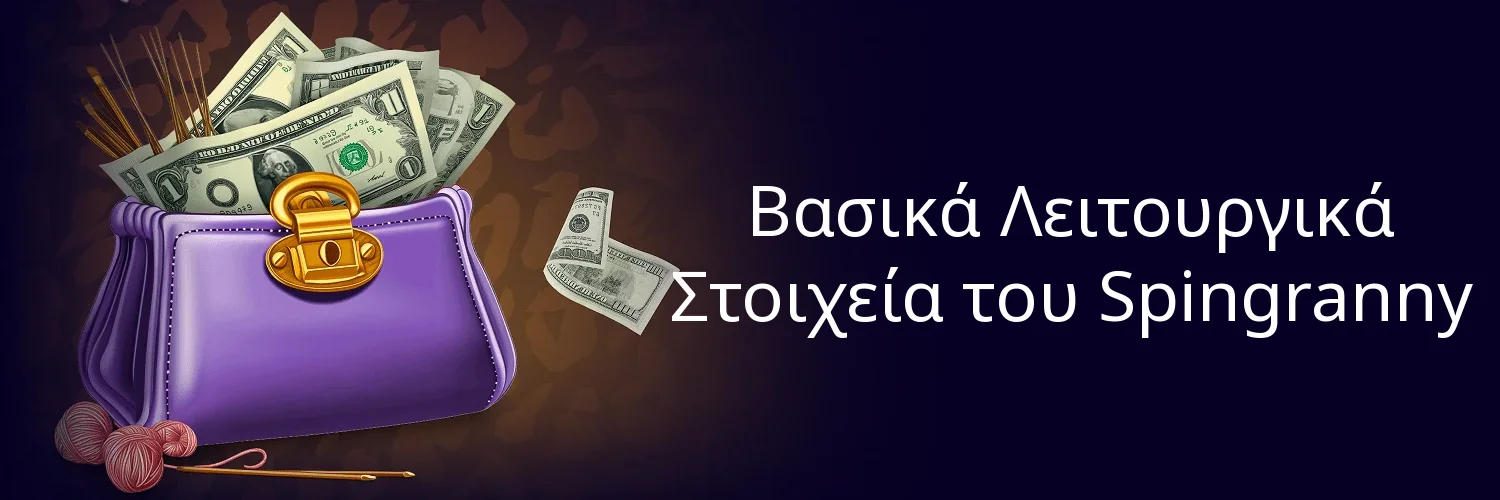 Βασικά Λειτουργικά Στοιχεία του Spingranny